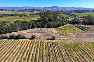 3316 Sonoma Hwy, Napa, CA 94559 - Photo 7