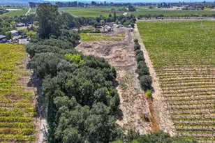 3316 Sonoma Hwy, Napa, CA 94559 - Photo 39