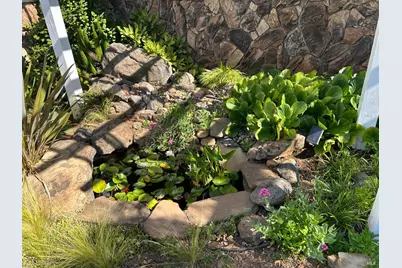 271 White Cottage Road, Angwin, CA 94508 - Photo 21