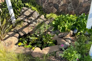 271 White Cottage Rd, Angwin, CA 94508 - Photo 21