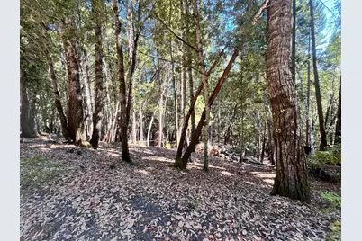 26093 Otter Drive, Willits, CA 95490 - Photo 5