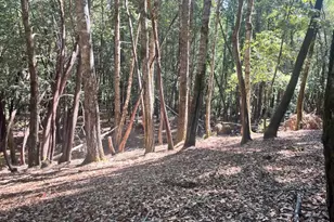 26093 Otter Dr, Willits, CA 95490 - Photo 1