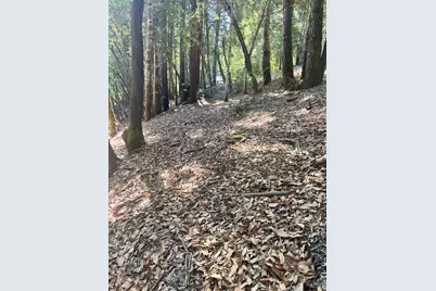 26093 Otter Drive, Willits, CA 95490 - Photo 7