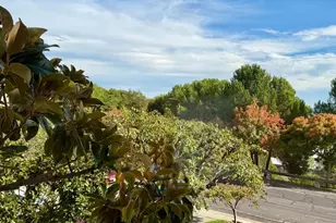 100 Thorndale Dr, San Rafael, CA 94903 - Photo 19