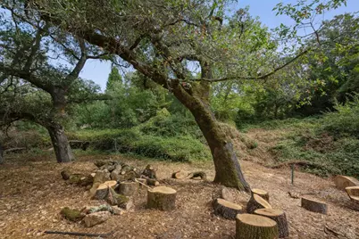 447 Sparkes Road, Sebastopol, CA 95472 - Photo 39