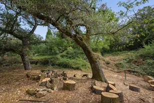 447 Sparkes Rd, Sebastopol, CA 95472 - Photo 39