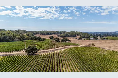 3340 Lichau Road, Penngrove, CA 94951 - Photo 11