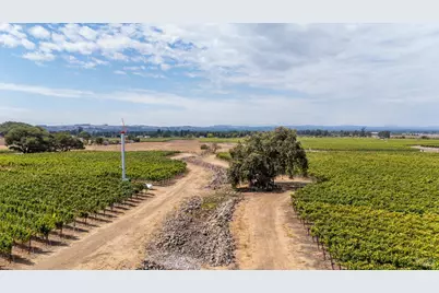 3340 Lichau Road, Penngrove, CA 94951 - Photo 9