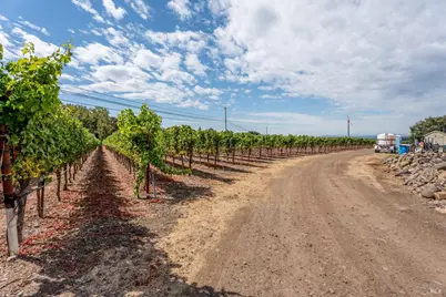 3340 Lichau Road, Penngrove, CA 94951 - Photo 15