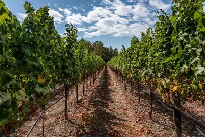 3340 Lichau Road, Penngrove, CA 94951 - Photo 17