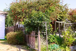 1156 64th St, Oakland, CA 94608 - Photo 5