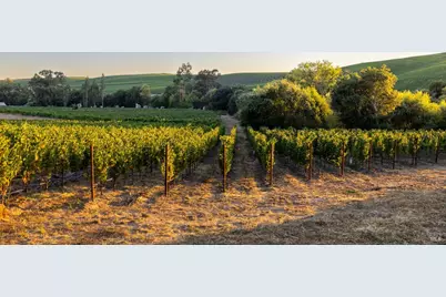 1299 Duhig Road, Napa, CA 94559 - Photo 3