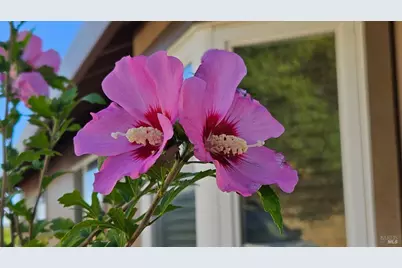 6 Blackwood Court, Napa, CA 94558 - Photo 63