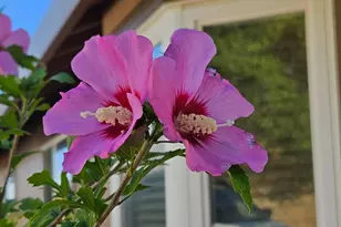 6 Blackwood Ct, Napa, CA 94558 - Photo 63