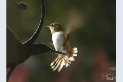 6 Blackwood Court, Napa, CA 94558 - Photo 65