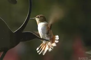 6 Blackwood Ct, Napa, CA 94558 - Photo 65