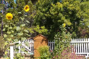 6 Blackwood Ct, Napa, CA 94558 - Photo 67