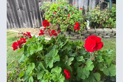 221 Livingston Avenue, Vacaville, CA 95687 - Photo 77