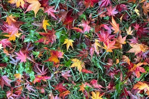 3739 Parrett Ave, Napa, CA 94558 - Photo 23