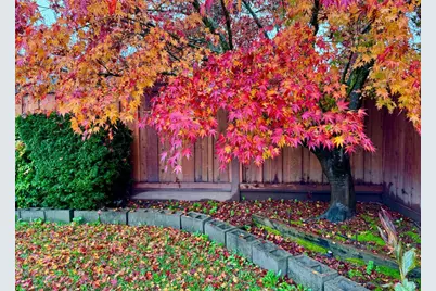 3739 Parrett Avenue, Napa, CA 94558 - Photo 19