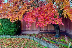 3739 Parrett Ave, Napa, CA 94558 - Photo 19