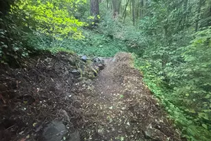 11 Huckleberry Heights, Cazadero, CA 95421 - Photo 27