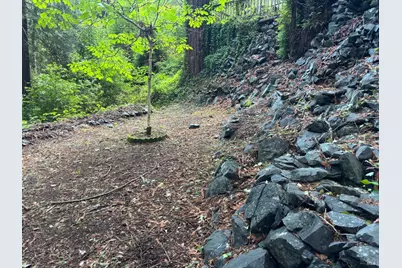 11 Huckleberry Heights, Cazadero, CA 95421 - Photo 23