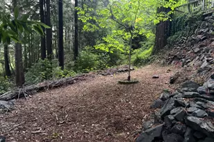 11 Huckleberry Heights, Cazadero, CA 95421 - Photo 37