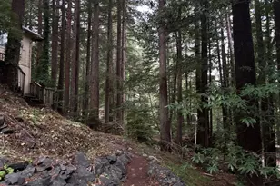 11 Huckleberry Heights, Cazadero, CA 95421 - Photo 45