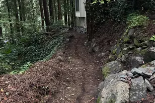 11 Huckleberry Heights, Cazadero, CA 95421 - Photo 41