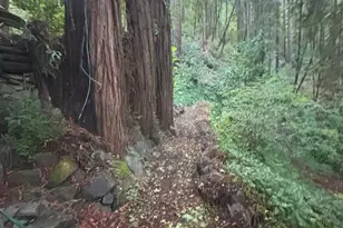 11 Huckleberry Heights, Cazadero, CA 95421 - Photo 25