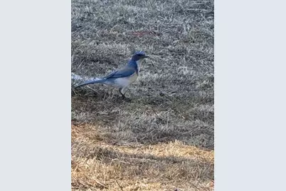 23 Valley View Court, El Sobrante, CA 94803 - Photo 41