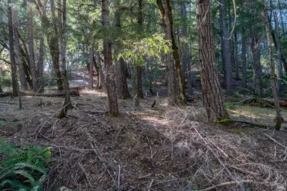 4070 Williams Ranch Road, Willits, CA 95490 - Photo 49