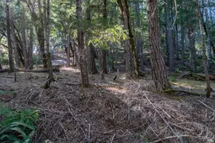 4070 Williams Ranch Rd, Willits, CA 95490 - Photo 49