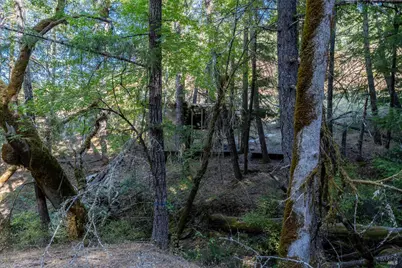 4070 Williams Ranch Road, Willits, CA 95490 - Photo 47