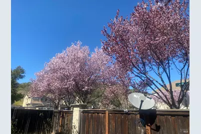 4658 Lapis Court, Fairfield, CA 94534 - Photo 39