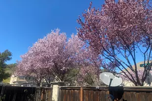 4658 Lapis Ct, Fairfield, CA 94534 - Photo 39