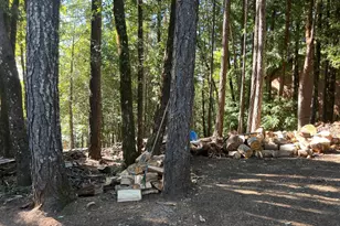 27178 Bear Dr, Willits, CA 95490 - Photo 1