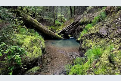 2333 Guntley Road, Philo, CA 95466 - Photo 47