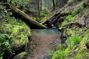 2333 Guntley Rd, Philo, CA 95466 - Photo 47