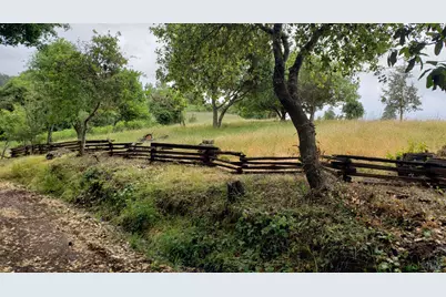 2333 Guntley Road, Philo, CA 95466 - Photo 51