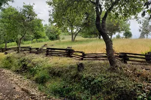 2333 Guntley Rd, Philo, CA 95466 - Photo 51