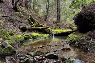 2333 Guntley Rd, Philo, CA 95466 - Photo 49