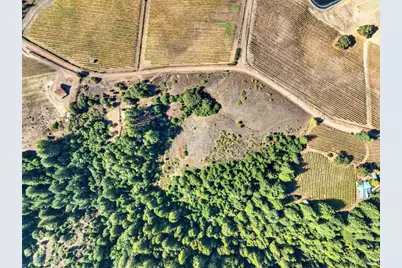 2333 Guntley Road, Philo, CA 95466 - Photo 5