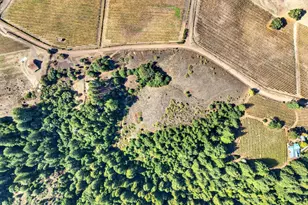 2333 Guntley Rd, Philo, CA 95466 - Photo 5