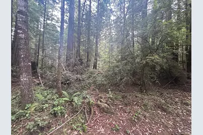 0 Law Road, Mendocino, CA 95460 - Photo 5