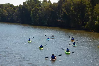 215 Kreuzer Lane, Napa, CA 94559 - Photo 99