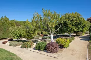 215 Kreuzer Ln, Napa, CA 94559 - Photo 87