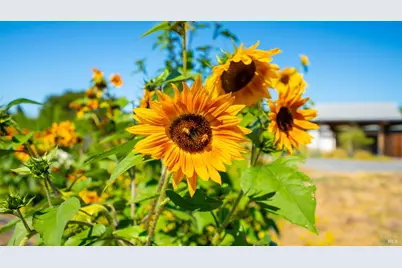 2183 Live Oak Farm Lane, Petaluma, CA 94952 - Photo 31