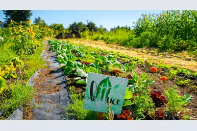 2183 Live Oak Farm Lane, Petaluma, CA 94952 - Photo 33